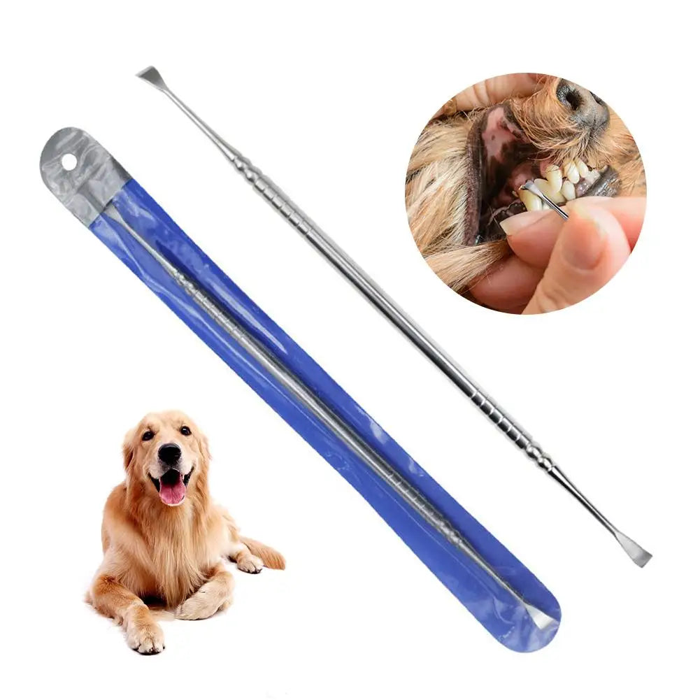 Stainless Steel Dog Tooth Scaler Scraper Tartar Remover, 17cm, Dual-Head Design