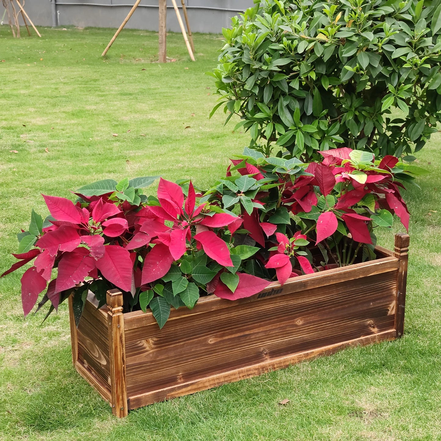 Raised Garden Bed Wooden Planter Box for Flowers & Vegetables – Large Size Only