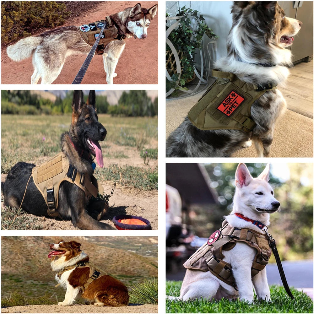 Tactical Dog Harness Set with Leash, Adjustable Vest for All Sizes, Nylon Material