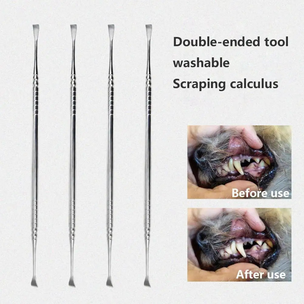 Stainless Steel Dog Tooth Scaler Scraper Tartar Remover, 17cm, Dual-Head Design