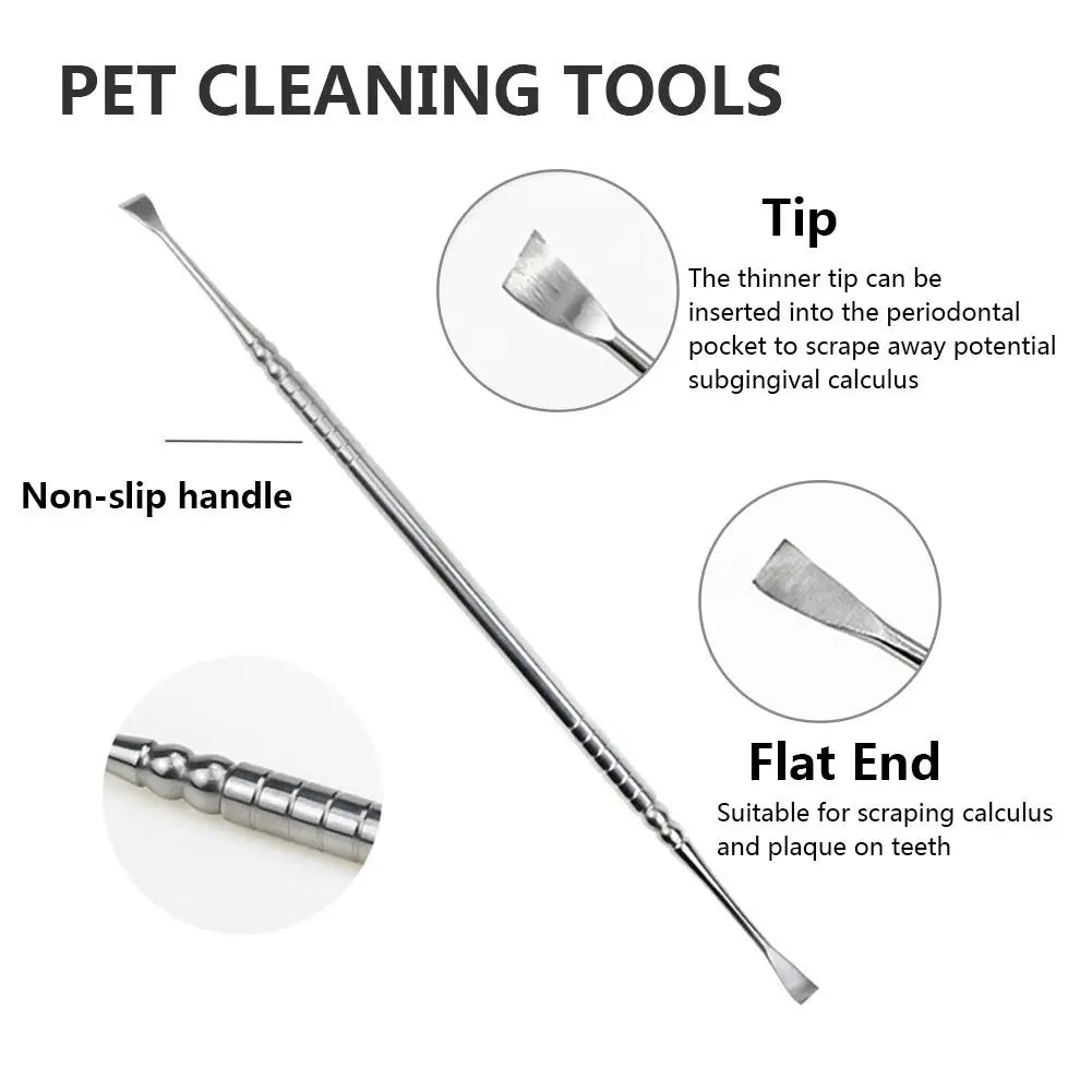 Stainless Steel Dog Tooth Scaler Scraper Tartar Remover, 17cm, Dual-Head Design