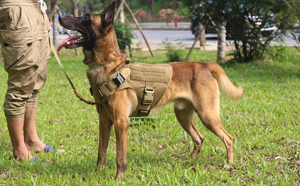 Tactical Dog Harness Set with Leash, Adjustable Vest for All Sizes, Nylon Material