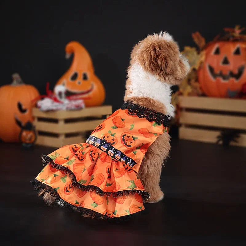 Halloween Pumpkin Lace Dress – Double-Layered Dog Party Outfit