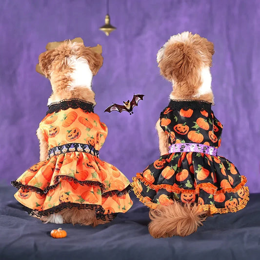 Halloween Pumpkin Lace Dress – Double-Layered Dog Party Outfit