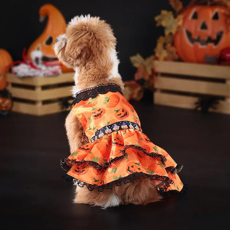 Halloween Pumpkin Lace Dress – Double-Layered Dog Party Outfit