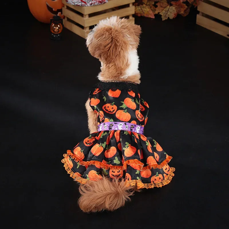 Halloween Pumpkin Lace Dress – Double-Layered Dog Party Outfit