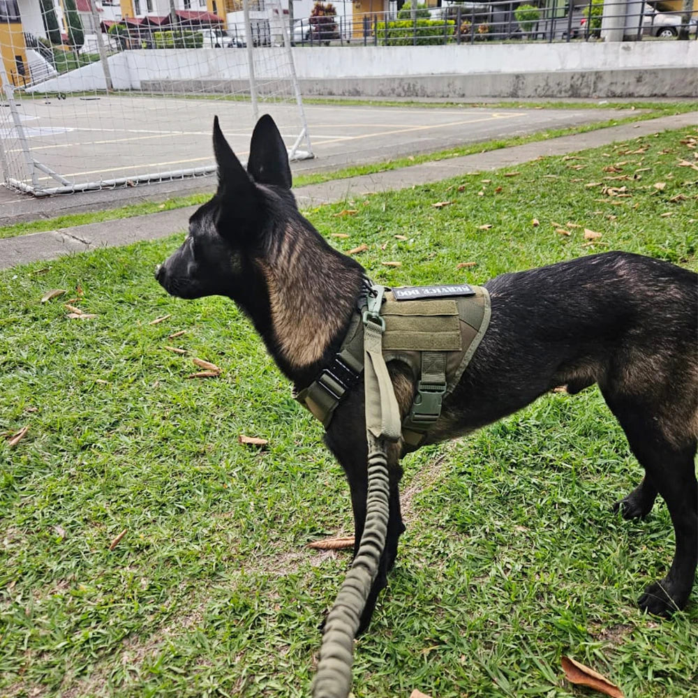 Tactical Dog Harness and Leash Set for Large Dogs – No Pull Military Vest