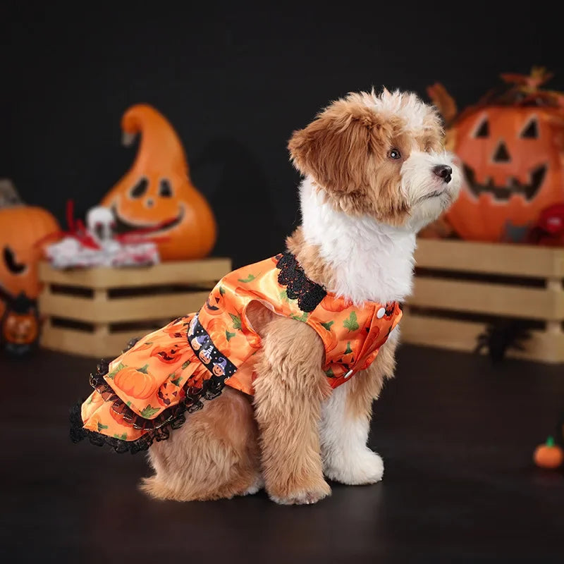 Halloween Pumpkin Lace Dress – Double-Layered Dog Party Outfit