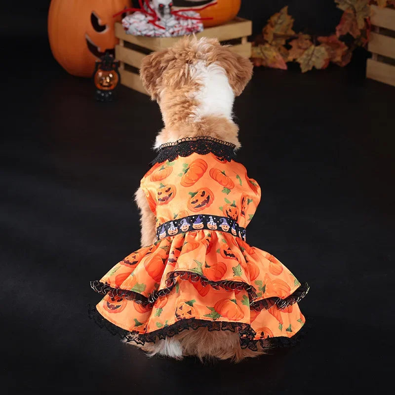 Halloween Pumpkin Lace Dress – Double-Layered Dog Party Outfit