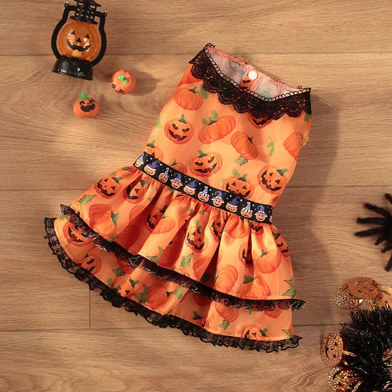 Halloween Pumpkin Lace Dress – Double-Layered Dog Party Outfit