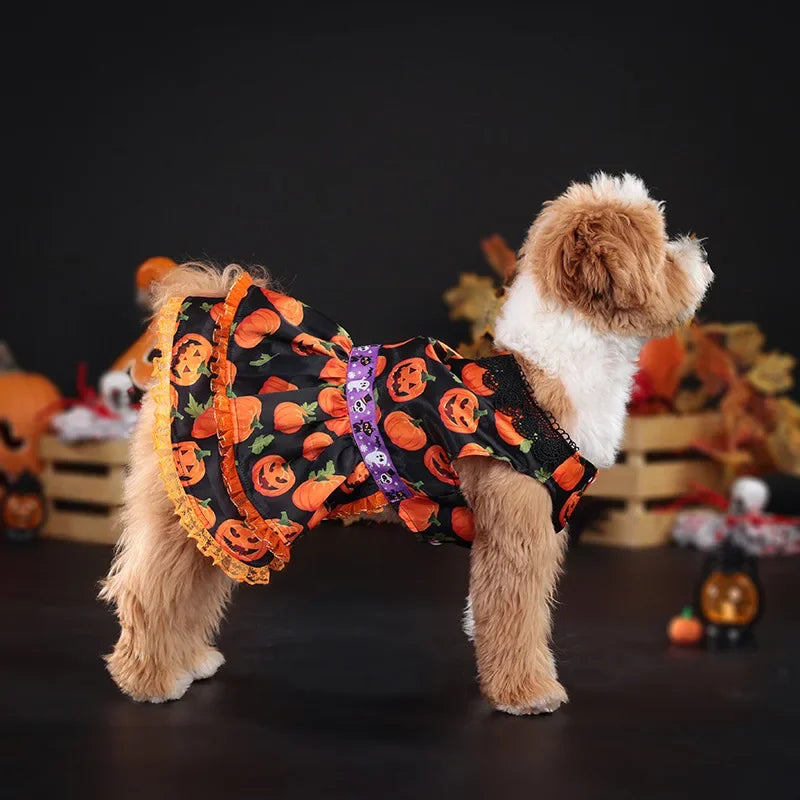 Halloween Pumpkin Lace Dress – Double-Layered Dog Party Outfit