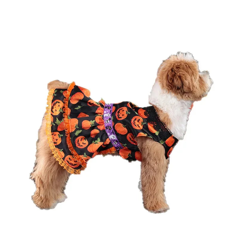 Halloween Pumpkin Lace Dress – Double-Layered Dog Party Outfit