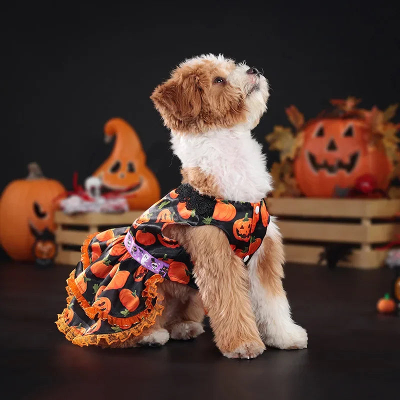 Halloween Pumpkin Lace Dress – Double-Layered Dog Party Outfit